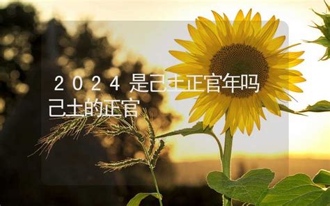 己土 2024